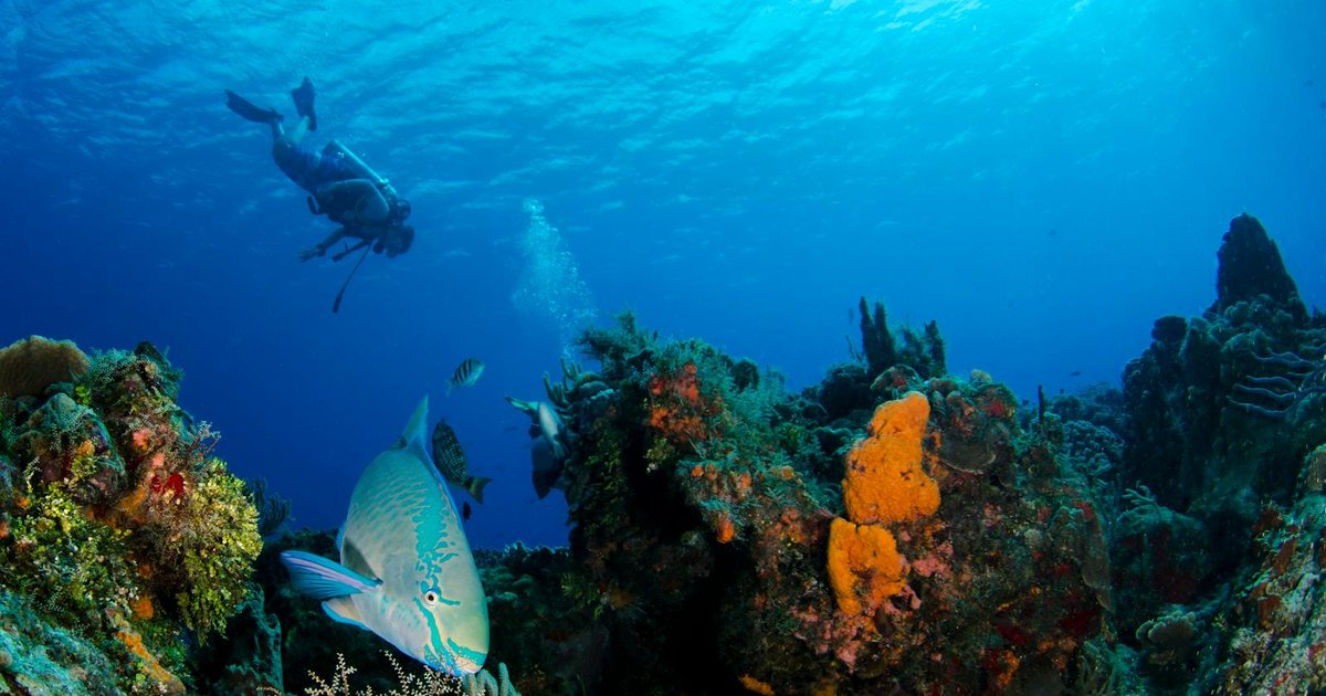 Diving in Corfu From an Old Town Apartment Base